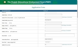 PEEF Scholarship 2023