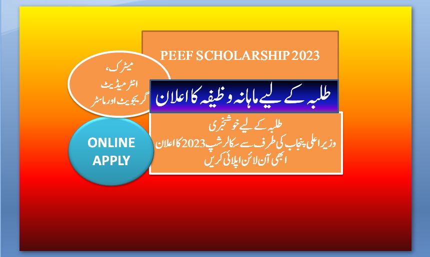 PEEF Scholarship Online Apply 2024 Last Date IK News