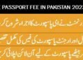 E passport fees in Pakistan 2024