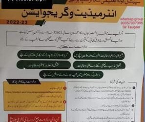 PEEF special quota scholarship 2023 online apply