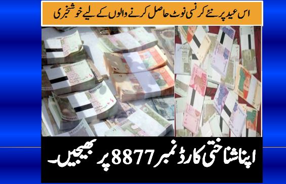 State bank of Pakistan fresh currency notes 2023
