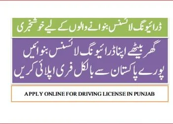 apply for Driving license new rules 2024