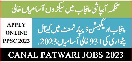 PPSC canal patwari jobs online apply 2023